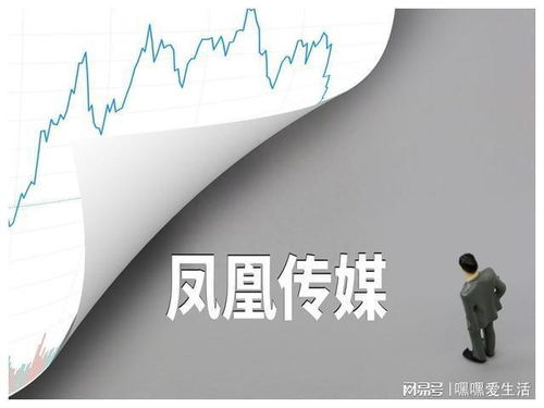 鳳凰傳媒股評(píng) 文化傳媒產(chǎn)業(yè)的璀璨明珠